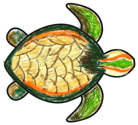 A sea turtle coloured with pencils at our party